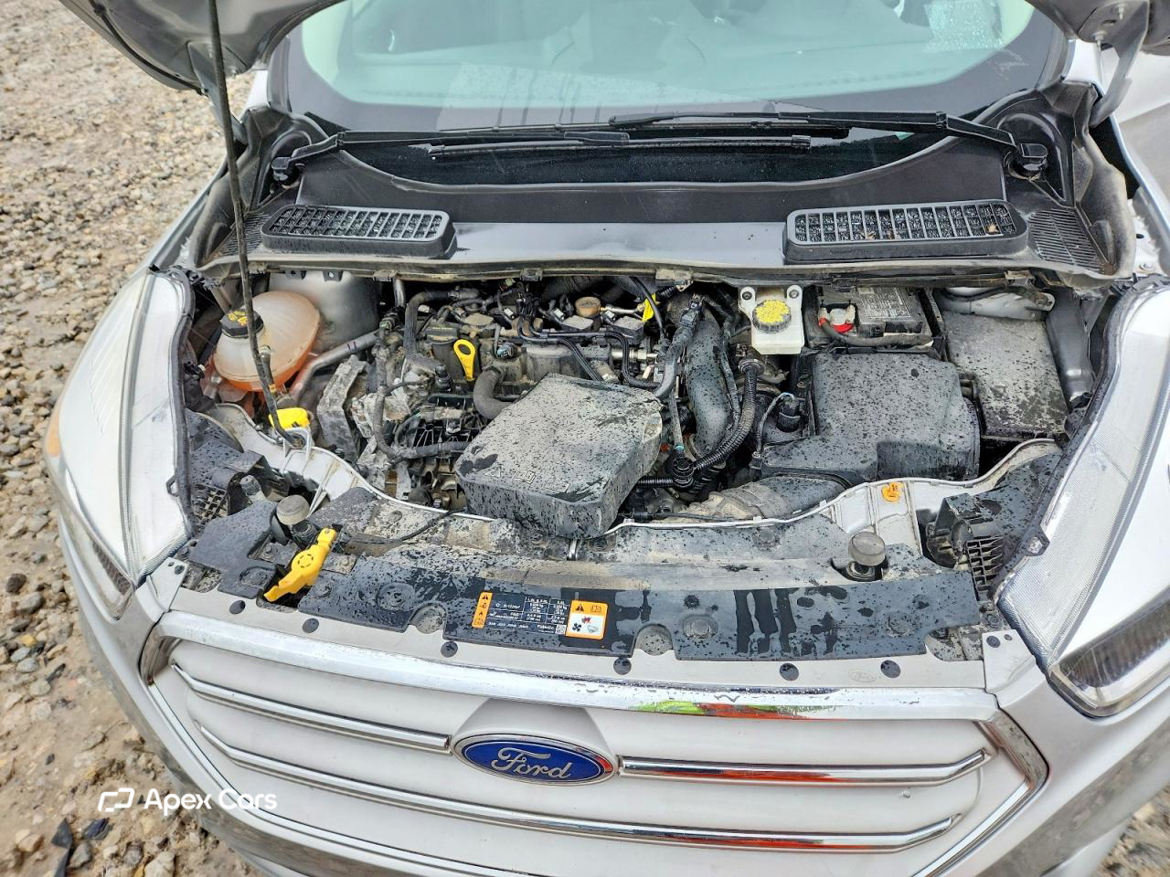 Ford Escape 2019
