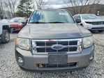 Ford Escape 2010