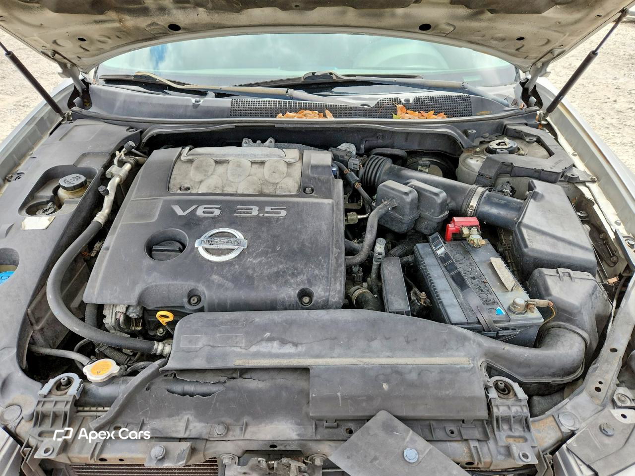 Nissan Maxima 2007