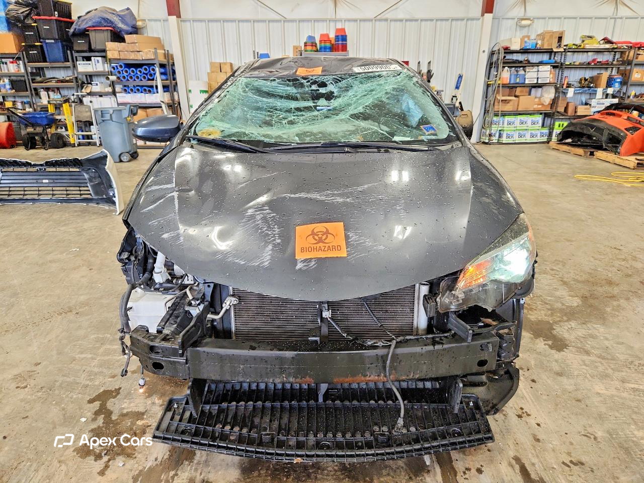 Toyota Corolla 2019