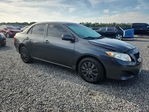 Toyota Corolla 2009
