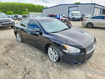 Nissan Maxima 2011