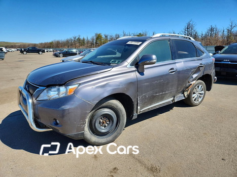 Lexus RX 2012 - Zdjęcie 1 z 13