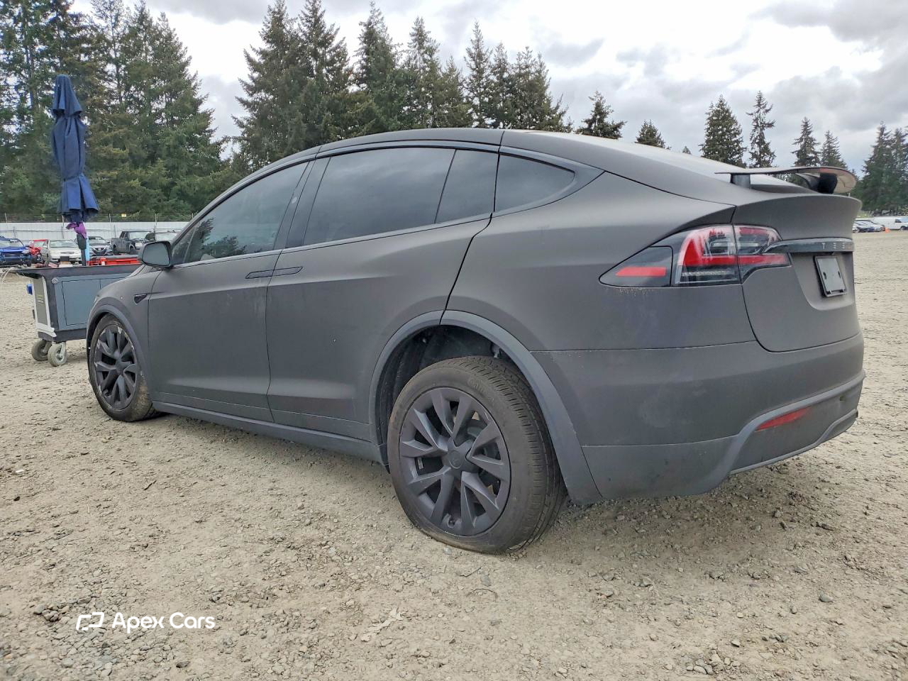 Tesla Model X 2025