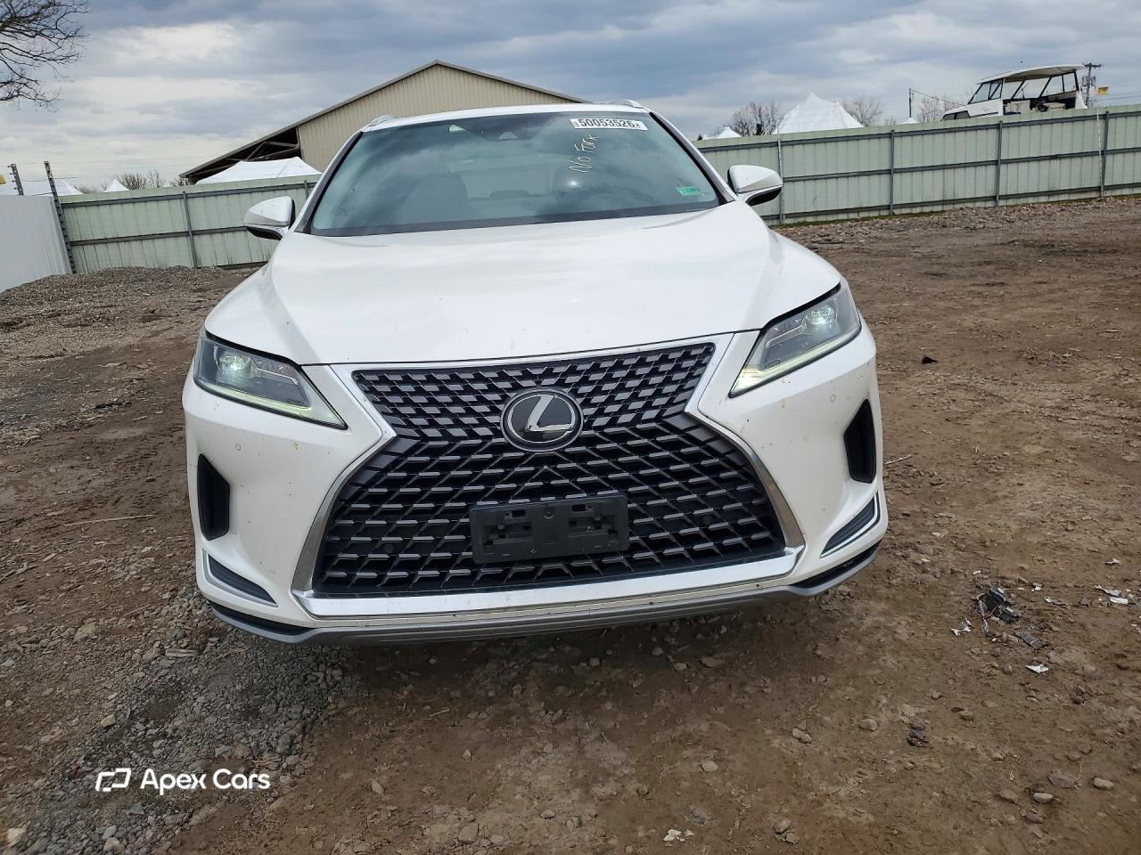 Lexus RX 2021