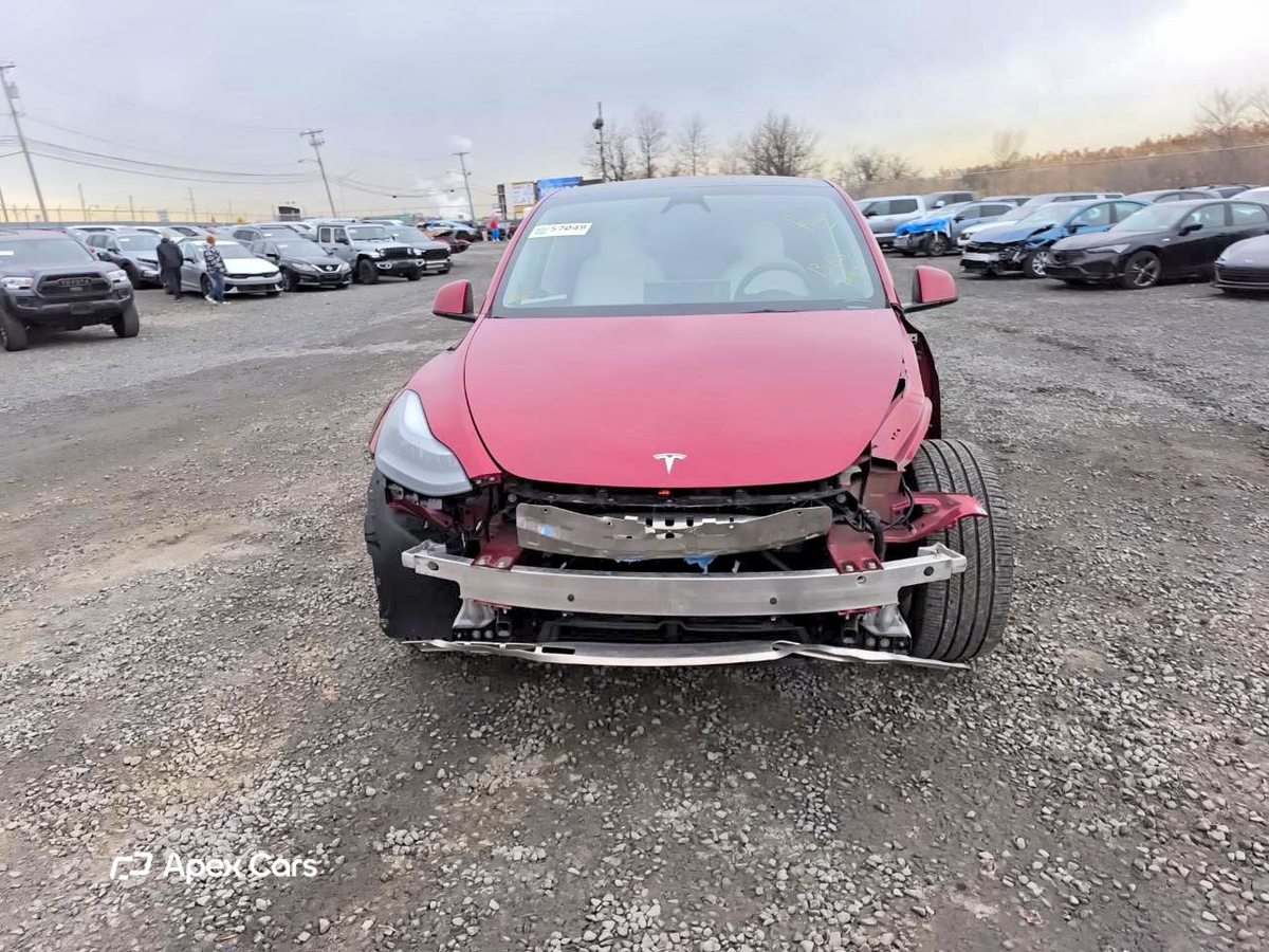 Tesla Model Y 2024