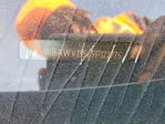 BMW Series 3 2009