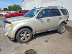 Ford Escape 2012
