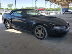 Ford Mustang 2001