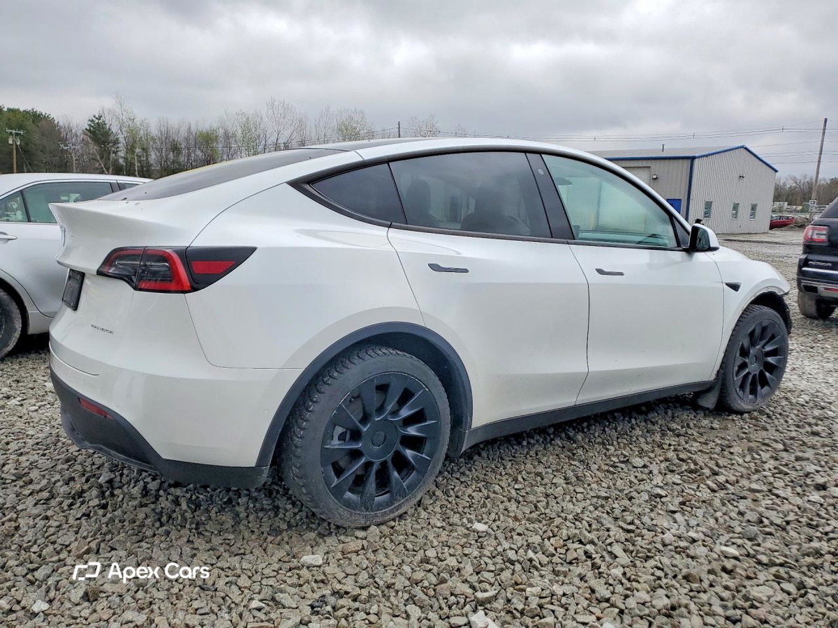 Tesla Model Y 2020