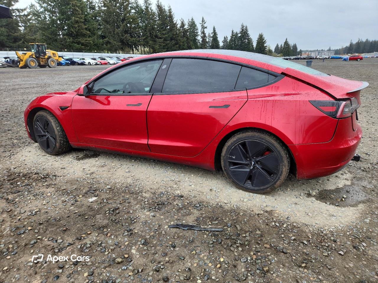 Tesla Model 3 2021
