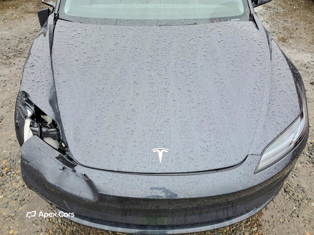 Tesla Model 3 2024