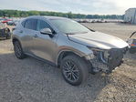 Lexus NX 2025