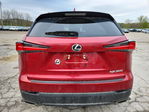Lexus NX 2019