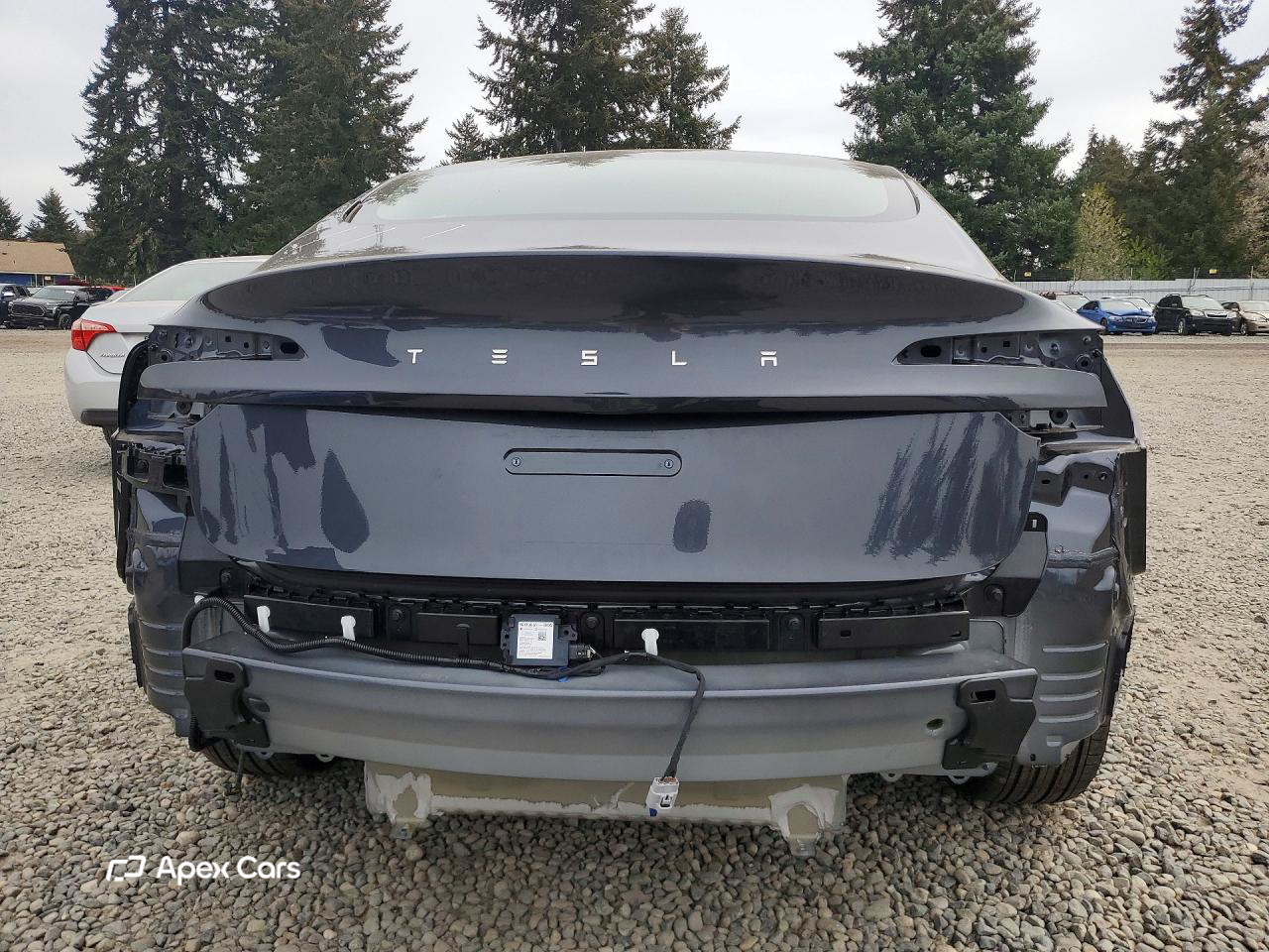 Tesla Model 3 2025