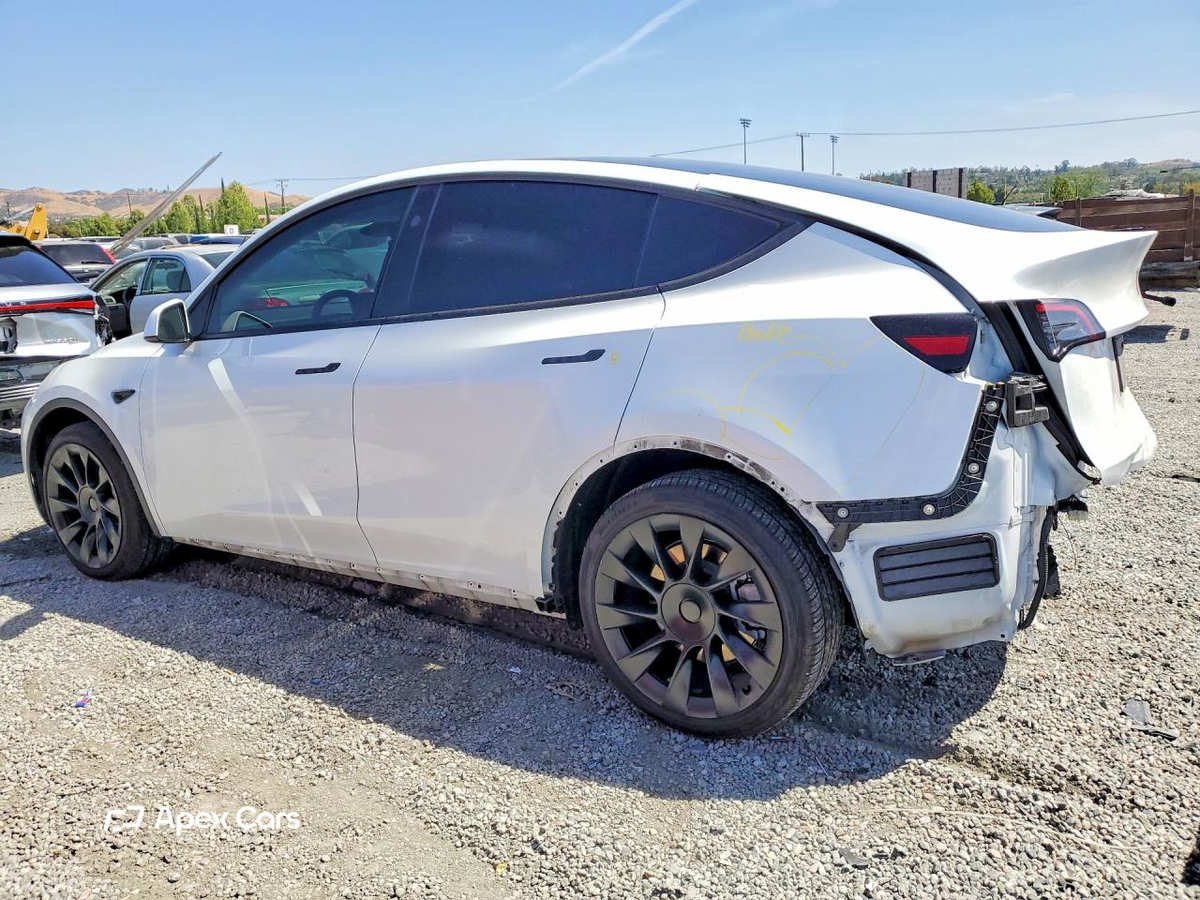 Tesla Model Y 2024
