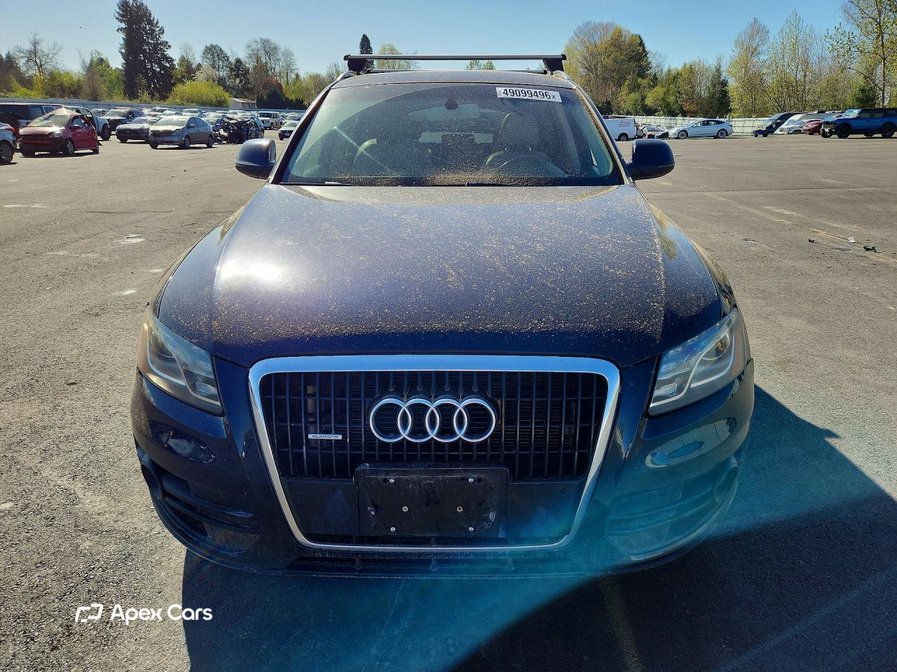 Audi Q5 2010