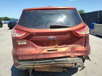 Ford Escape 2014