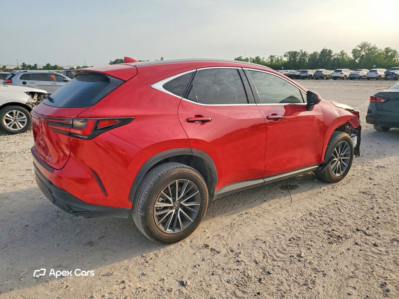 Lexus NX 2024