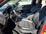 Ford Escape 2025