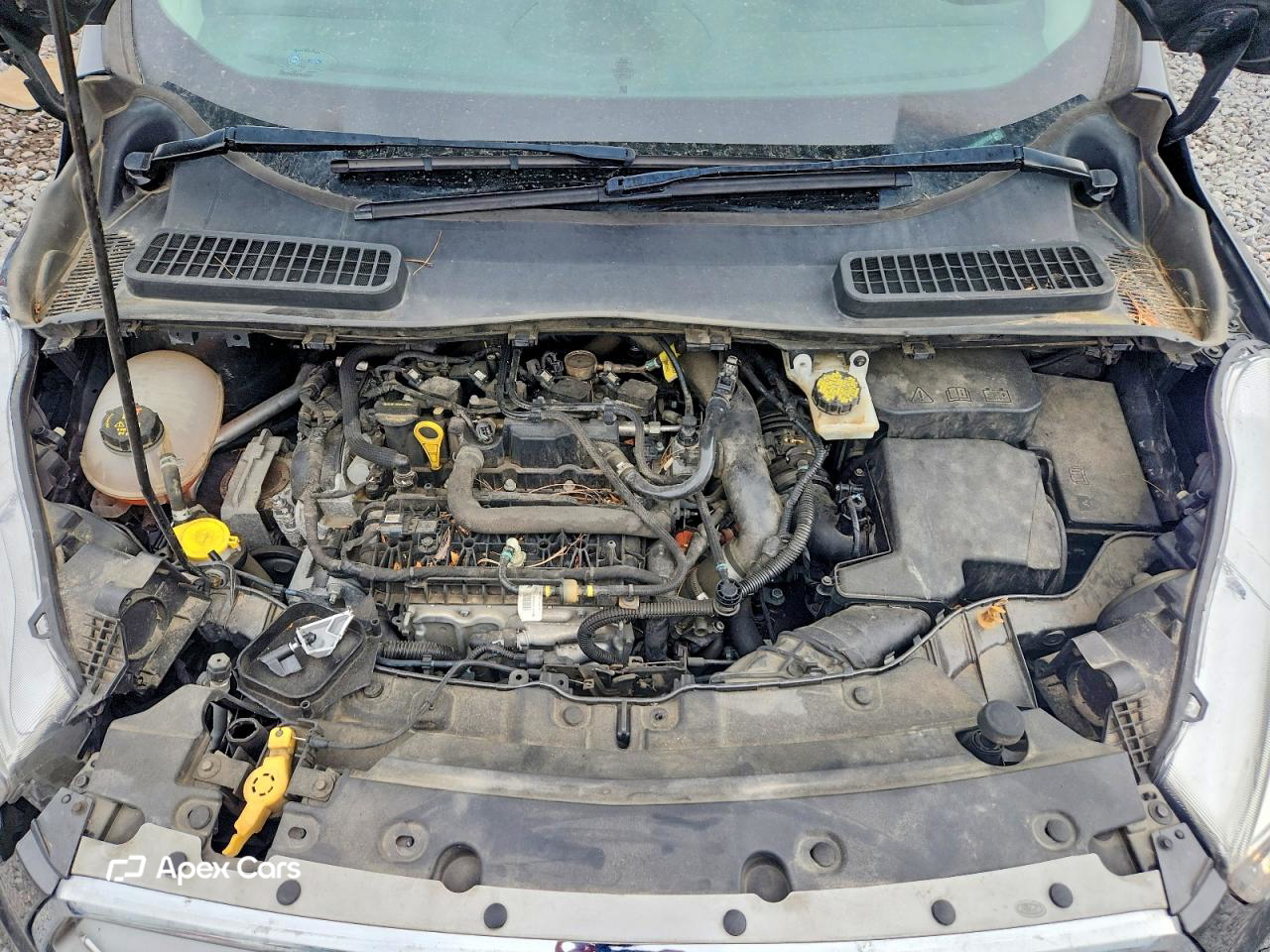 Ford Escape 2019