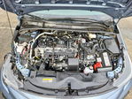 Toyota Corolla 2025