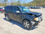 Ford Escape 2012