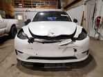 Tesla Model Y 2020