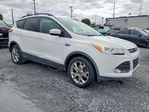 Ford Escape 2016