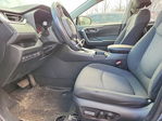 Toyota RAV 4 2019