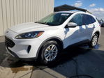 Ford Escape 2020