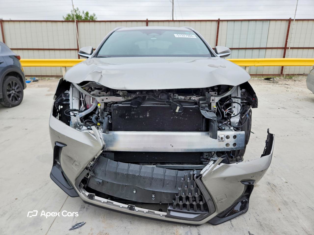 Lexus NX 2024