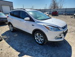 Ford Escape 2014