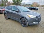 Ford Escape 2015