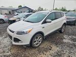 Ford Escape 2014