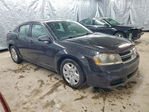 Dodge Avenger 2013