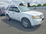 Ford Escape 2009