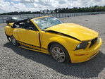 Ford Mustang 2006