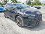 Lexus NX 2023
