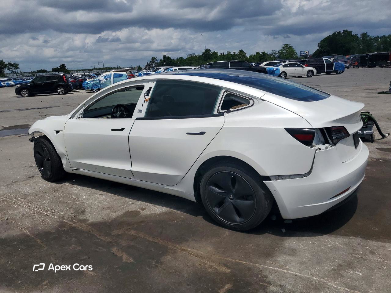 Tesla Model 3 2019