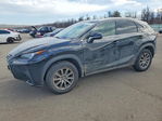 Lexus NX 2020