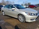 Honda Accord 2013