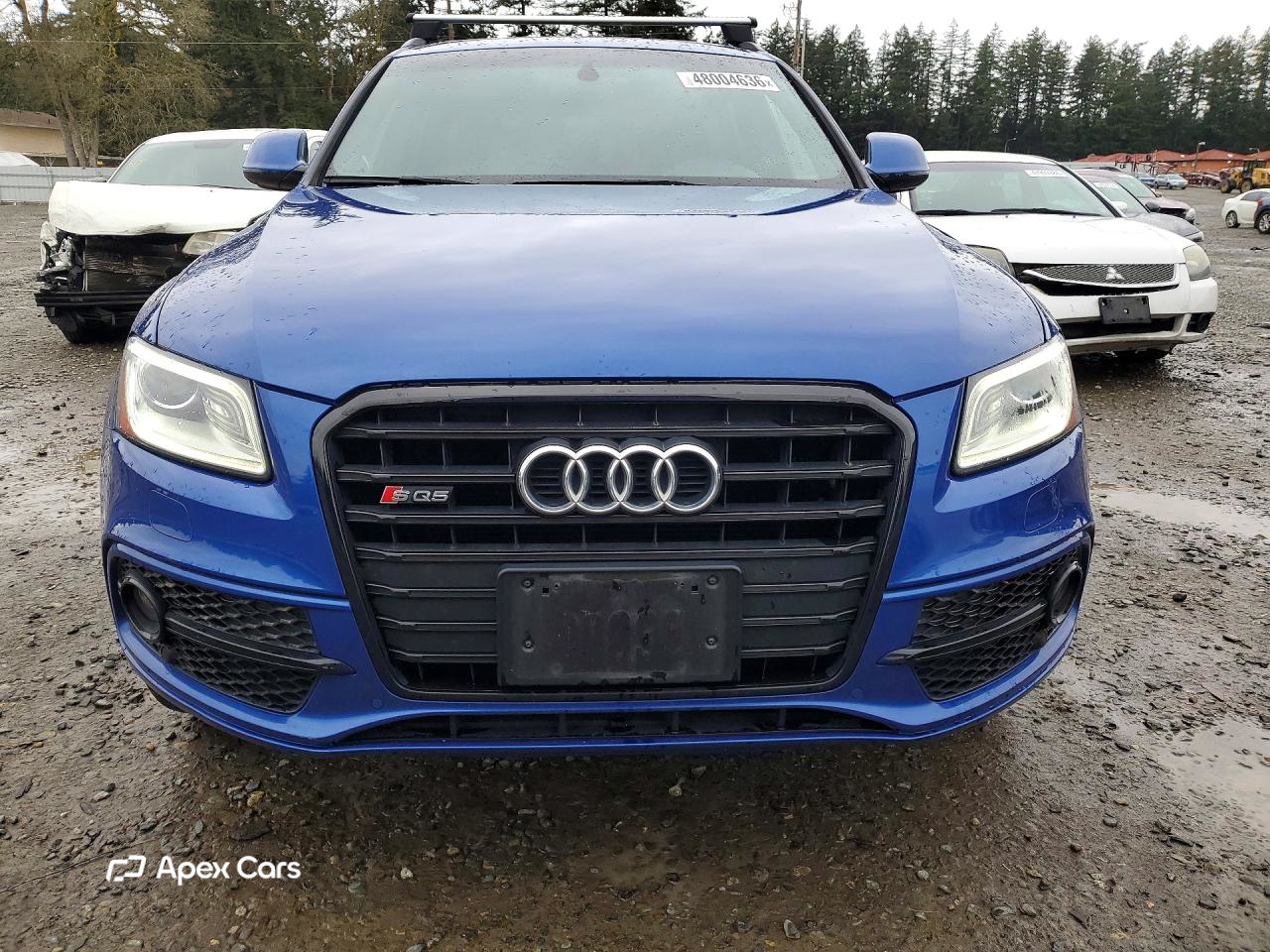 Audi SQ5 2016