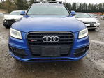 Audi SQ5 2016