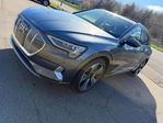 Audi e-tron 2019