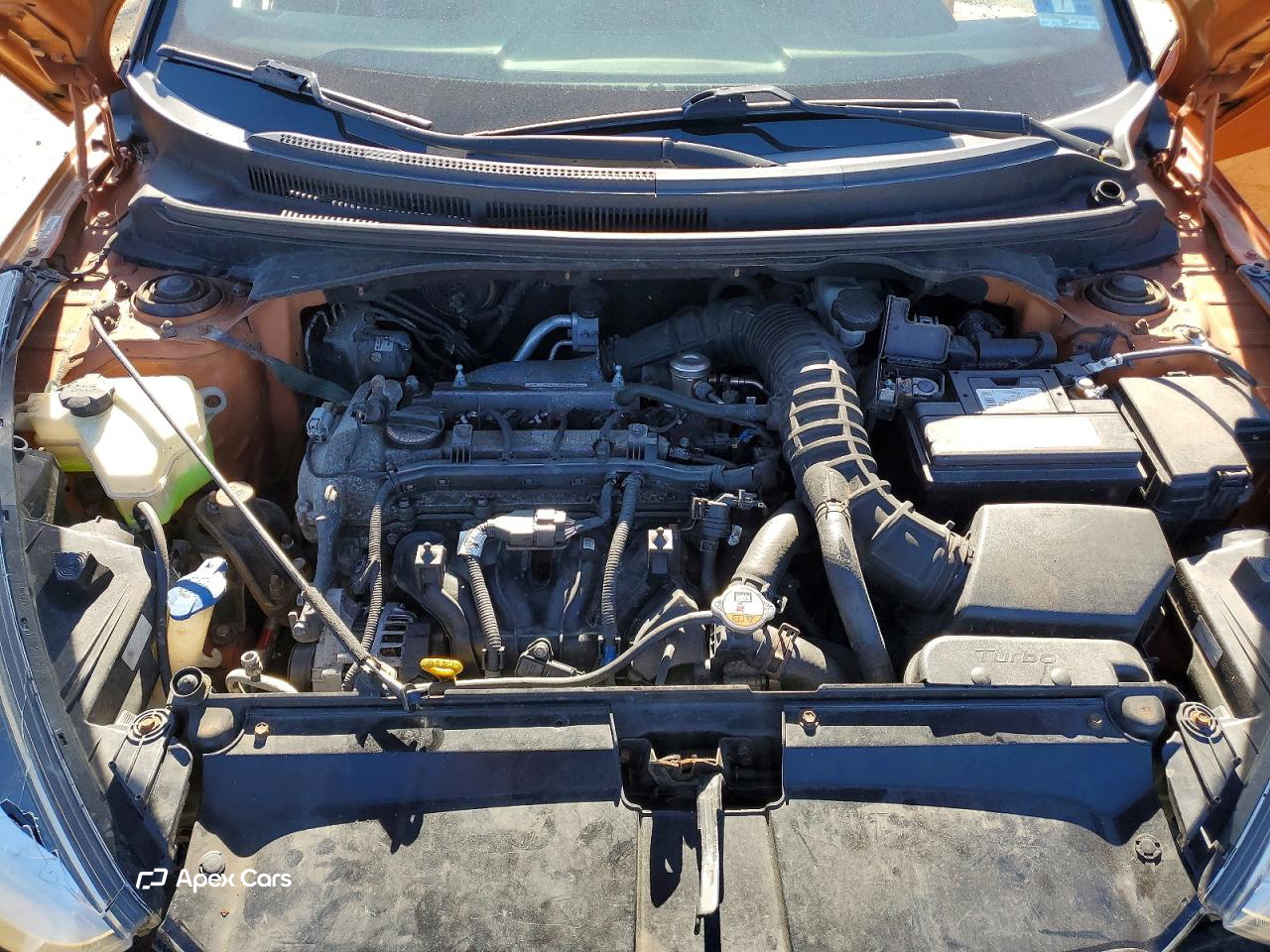 Hyundai Veloster 2013