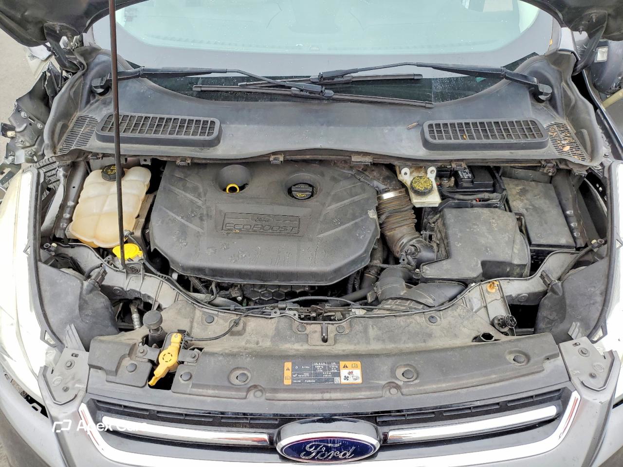 Ford Escape 2014