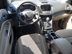 Ford Escape 2014