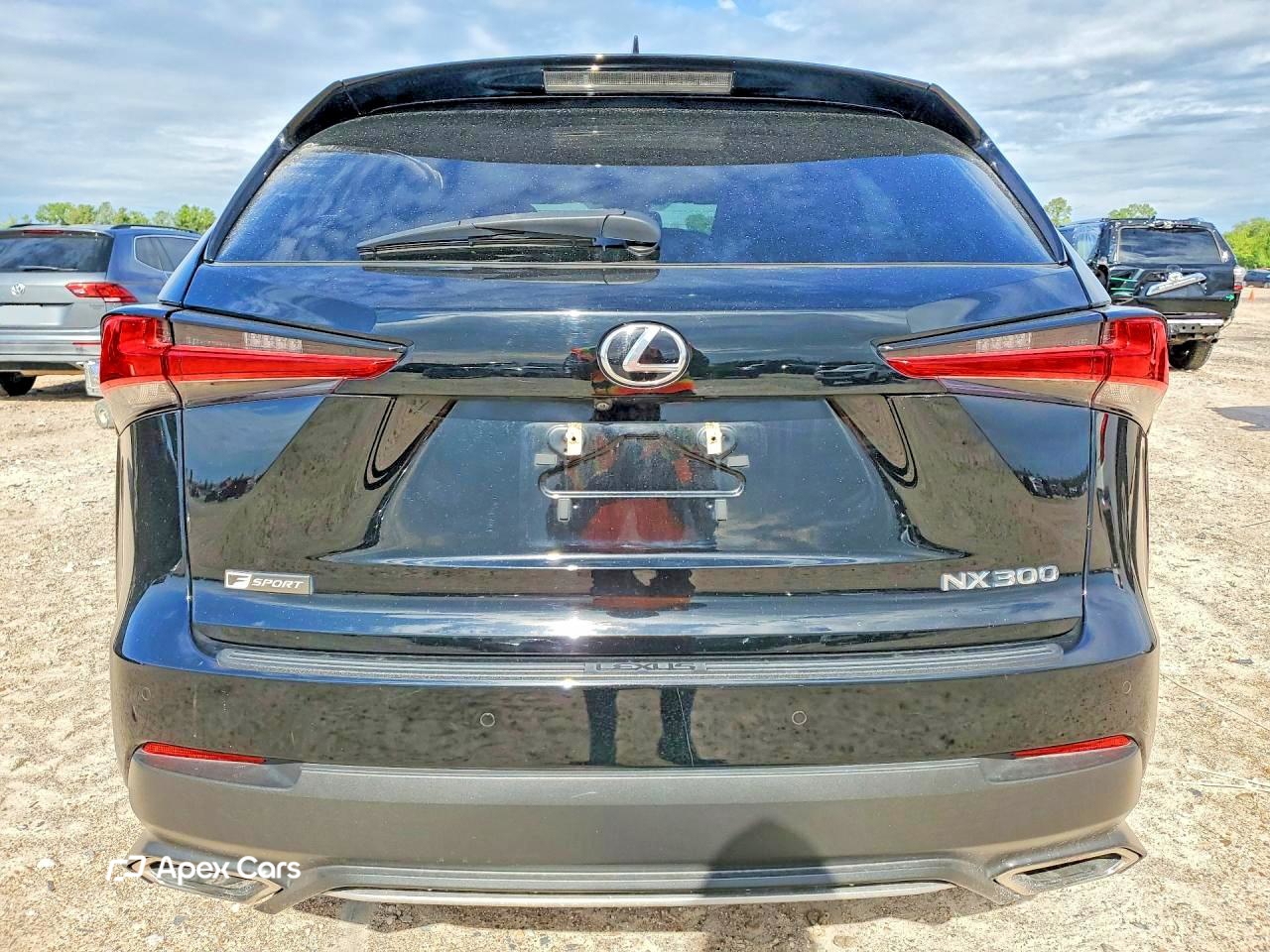 Lexus NX 2019