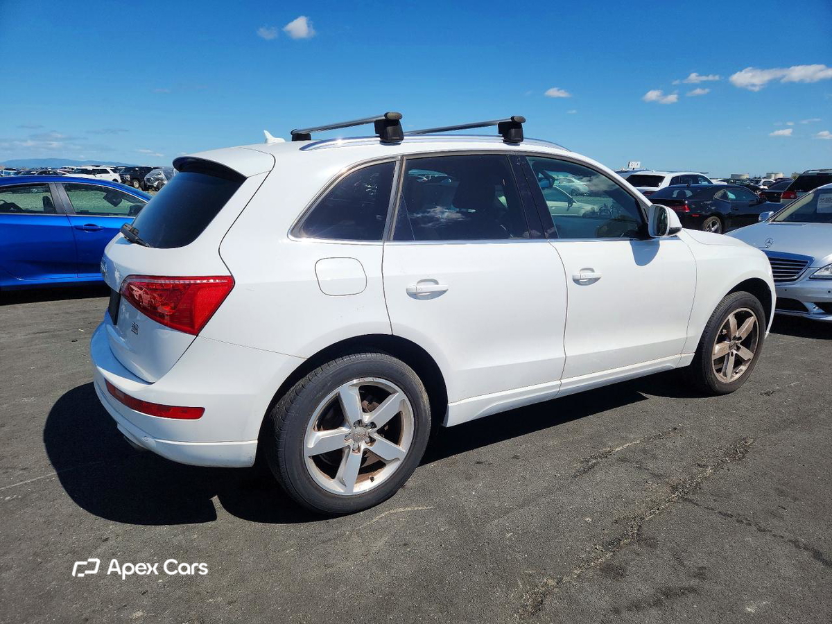 Audi Q5 2010
